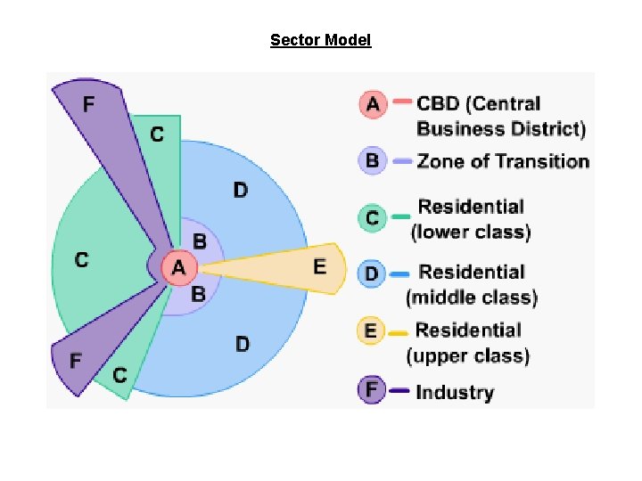 Sector Model 