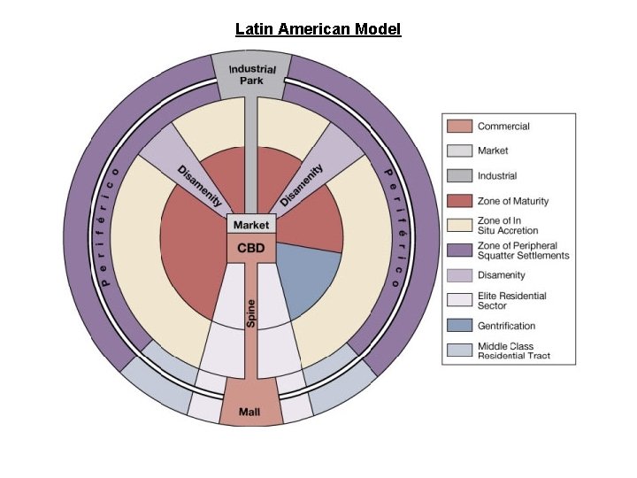 Latin American Model 
