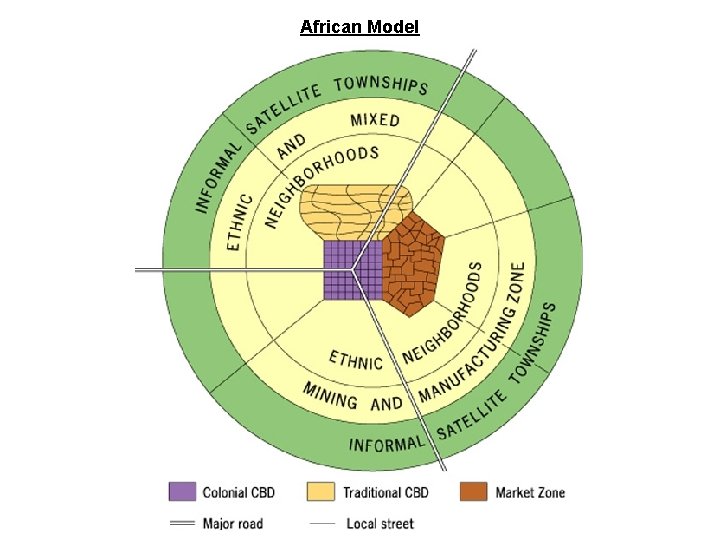 African Model 