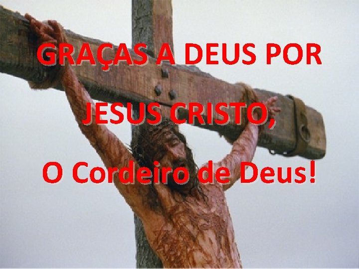 GRAÇAS A DEUS POR JESUS CRISTO, O Cordeiro de Deus! 