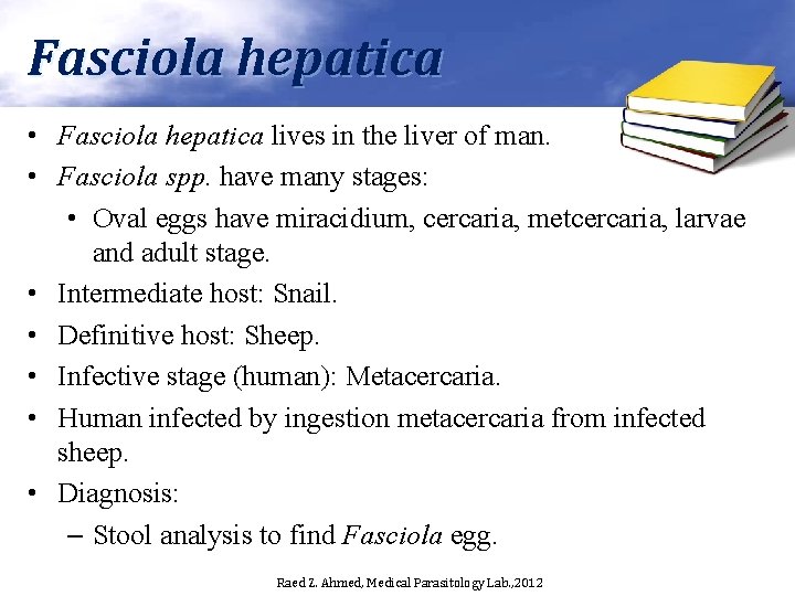 Fasciola hepatica • Fasciola hepatica lives in the liver of man. • Fasciola spp.