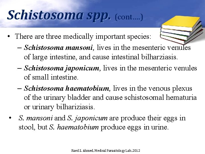 Schistosoma spp. (cont…. ) • There are three medically important species: – Schistosoma mansoni,