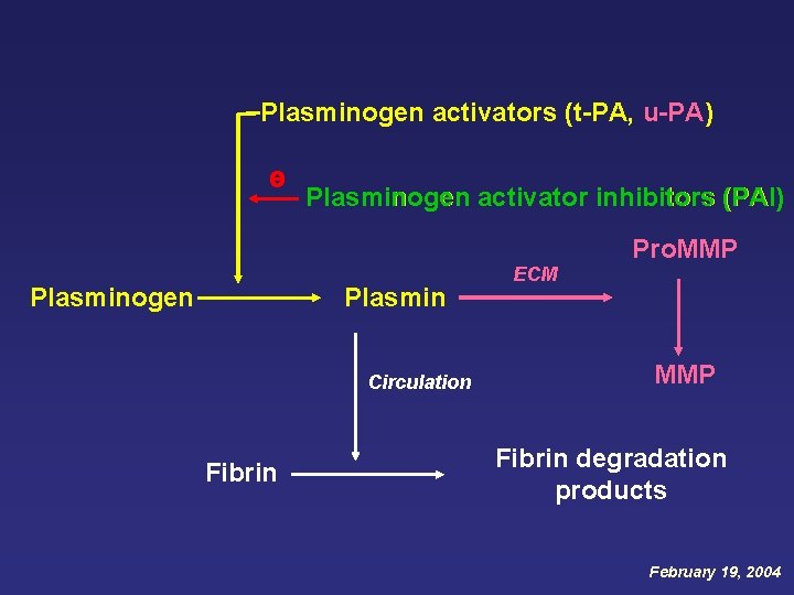 Plasminogen activators (t-PA, u-PA) Plasminogen activator inhibitors (PAI) Plasminogen Plasmin Circulation Fibrin ECM Pro.