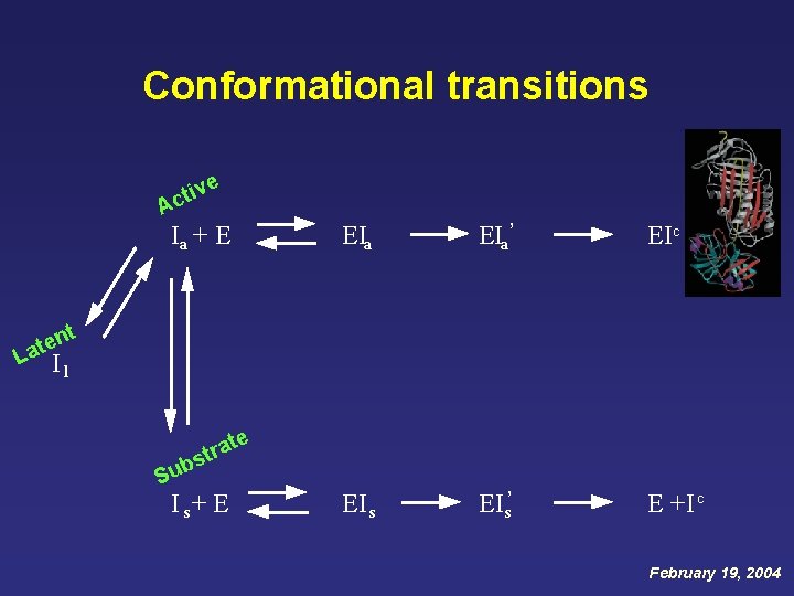 Conformational transitions v cti A e Ia + E EIa’ EIc EI s’ E