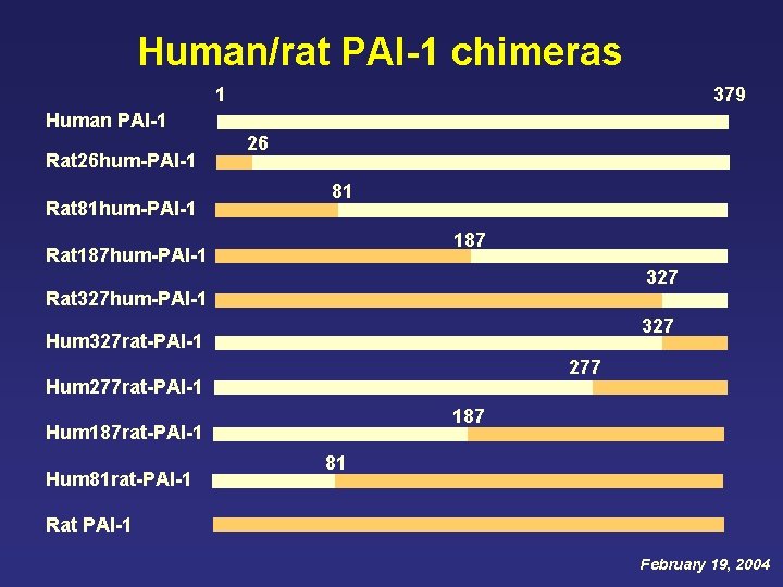 Human/rat PAI-1 chimeras 1 379 Human PAI-1 Rat 26 hum-PAI-1 Rat 81 hum-PAI-1 26