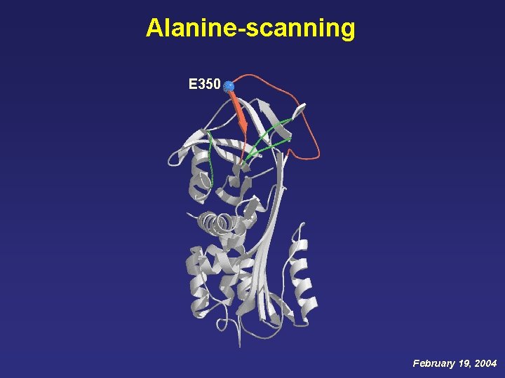 Alanine-scanning E 350 February 19, 2004 