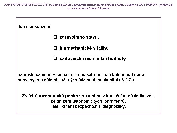 FEld SYSTÉMOVÁ METODOLOGIE, systémové zjišťování a posuzování stavů a vazeb znaleckého objektu s důrazem