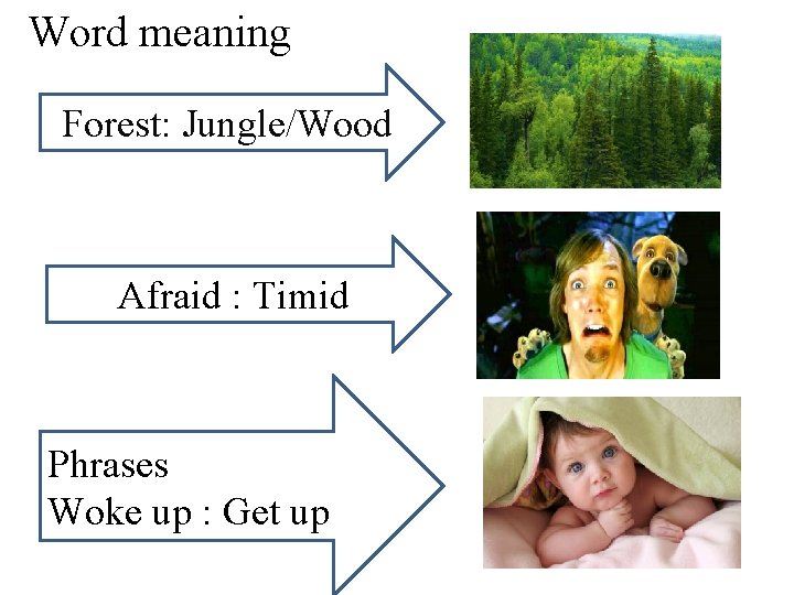 Word meaning Forest: Jungle/Wood Afraid : Timid Phrases Woke up : Get up 
