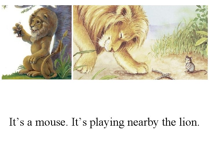 It’s a mouse. It’s playing nearby the lion. 