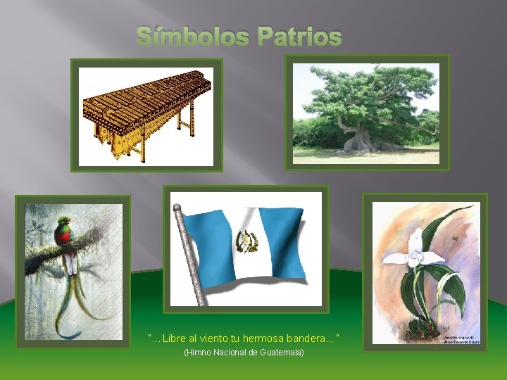 Símbolos Patrios “…Libre al viento tu hermosa bandera…” (Himno Nacional de Guatemala) Símbolos Patrios “…Libre al viento tu hermosa bandera…” (Himno Nacional de Guatemala)
