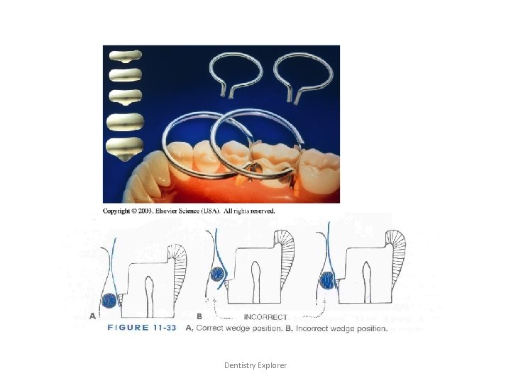 Dentistry Explorer 