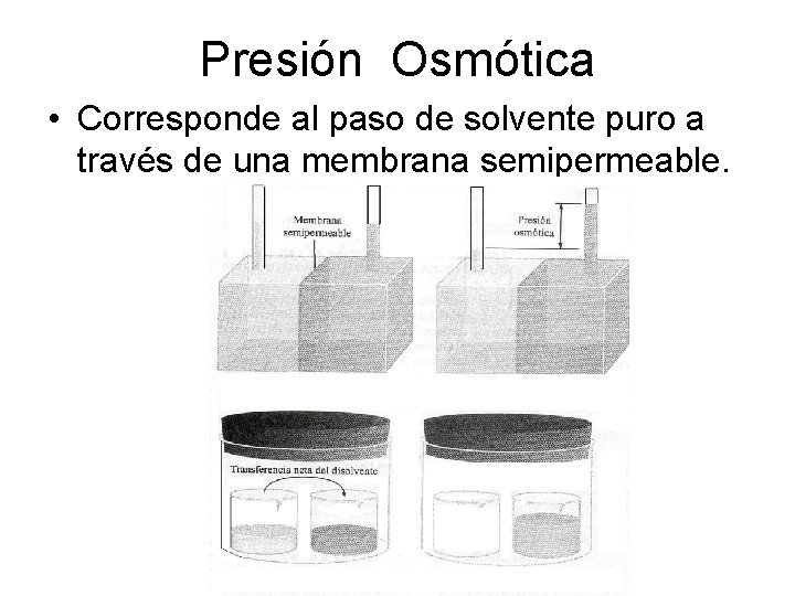 Presión Osmótica • Corresponde al paso de solvente puro a través de una membrana