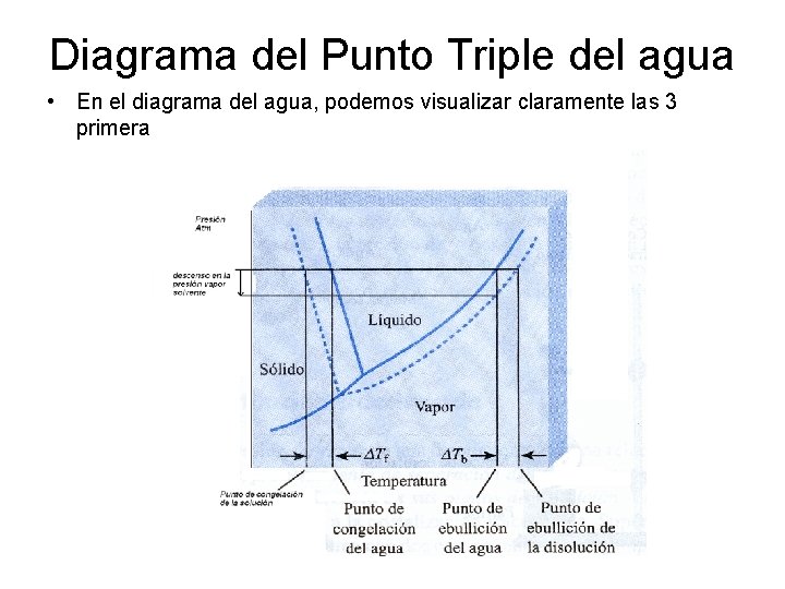 Diagrama del Punto Triple del agua • En el diagrama del agua, podemos visualizar