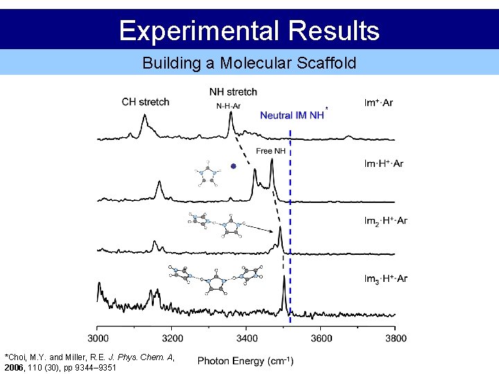 Experimental Results Building a Molecular Scaffold * *Choi, M. Y. and Miller, R. E.