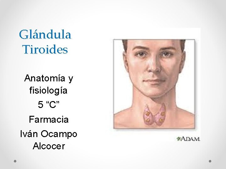 Glándula Tiroides Anatomía y fisiología 5 “C” Farmacia Iván Ocampo Alcocer 