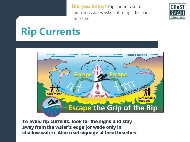 Did you know? Rip currents sometimes incorrectly called rip tides and undertow Rip Currents