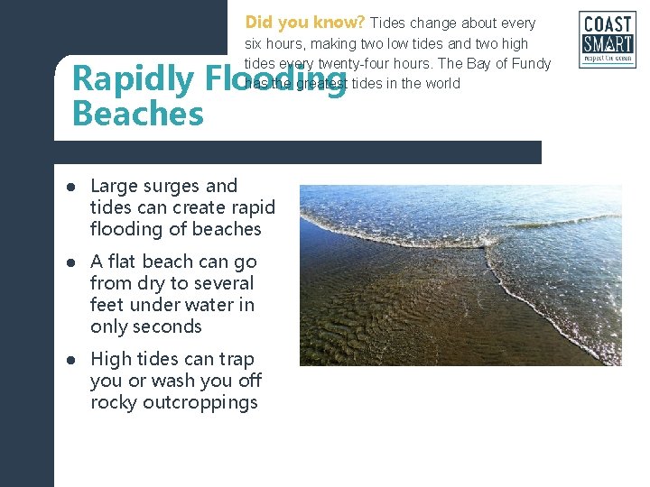 Did you know? Tides change about every six hours, making two low tides and Did you know? Tides change about every six hours, making two low tides and