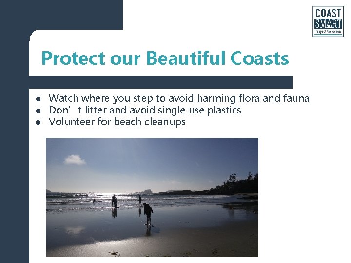 Protect our Beautiful Coasts l l l Watch where you step to avoid harming Protect our Beautiful Coasts l l l Watch where you step to avoid harming
