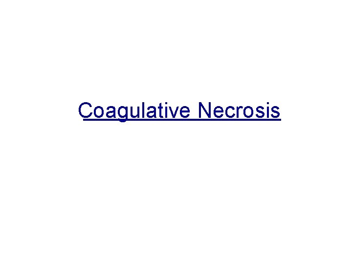 Coagulative Necrosis 