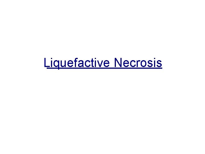 Liquefactive Necrosis 