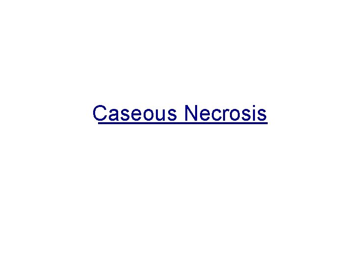 Caseous Necrosis 