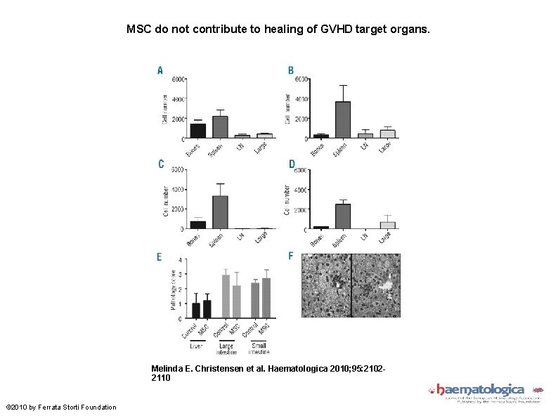 MSC do not contribute to healing of GVHD target organs. Melinda E. Christensen et