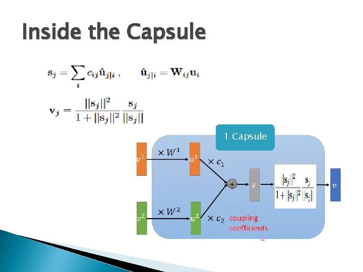 Inside the Capsule 1 Capsule 