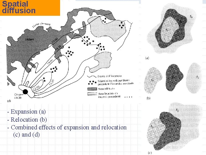 Spatial diffusion - Expansion (a) - Relocation (b) - Combined effects of expansion and