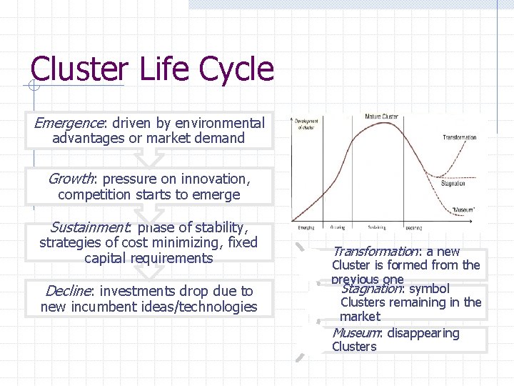 Cluster Life Cycle Emergence: driven by environmental advantages or market demand Growth: pressure on