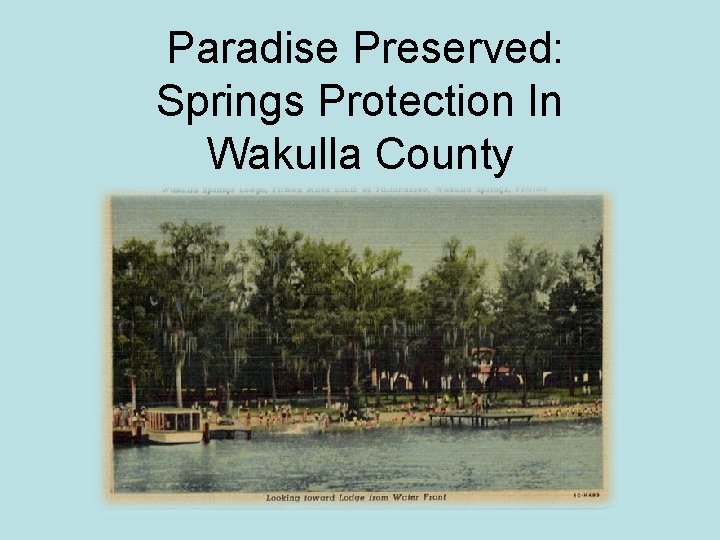 Paradise Preserved Springs Protection In Wakulla County SPRINGS