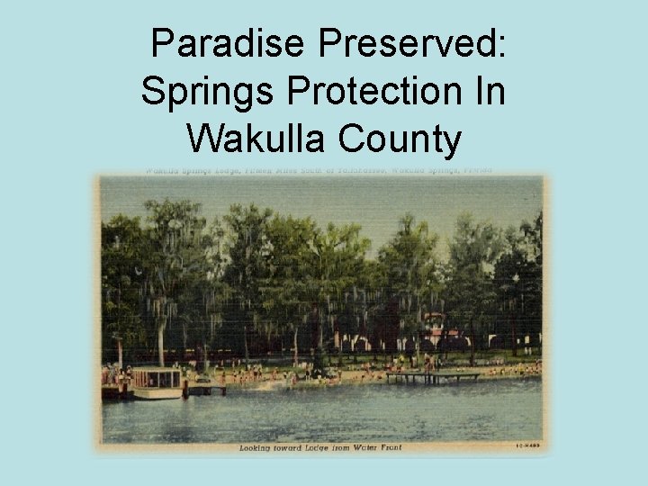 Paradise Preserved: Springs Protection In Wakulla County 