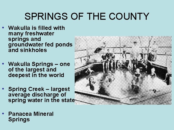 SPRINGS OF THE COUNTY • Wakulla is filled with many freshwater springs and groundwater