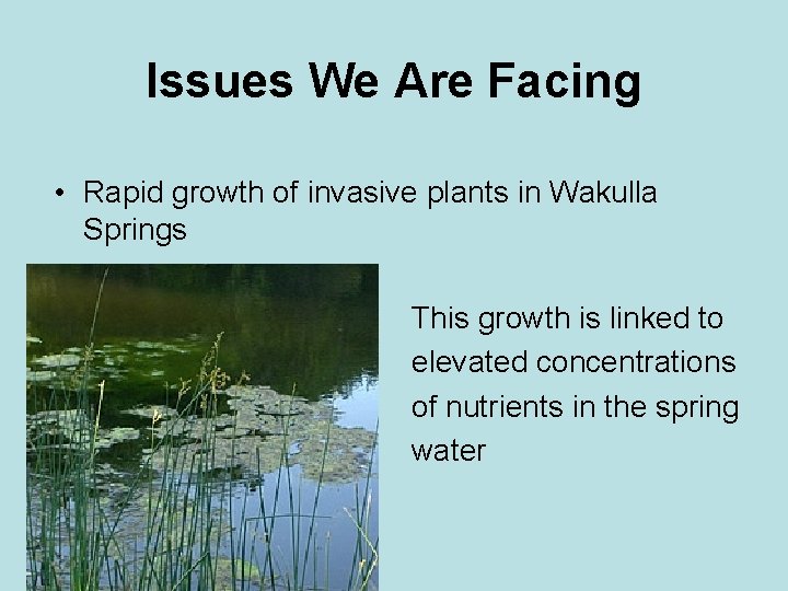 Issues We Are Facing • Rapid growth of invasive plants in Wakulla Springs This