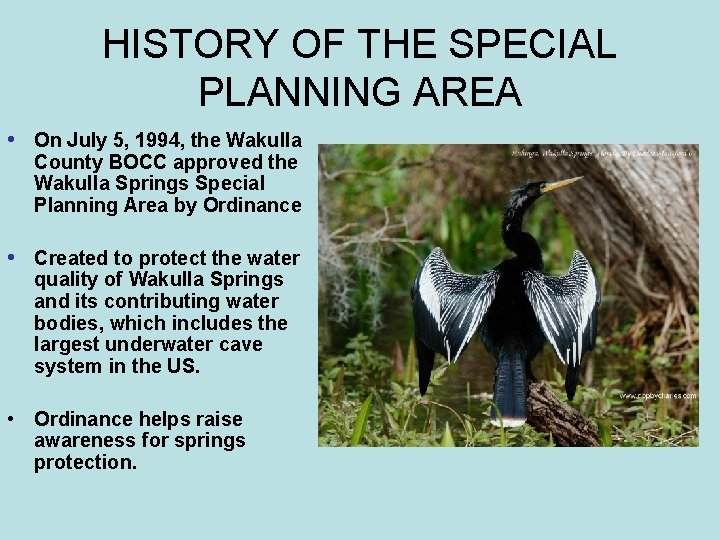 HISTORY OF THE SPECIAL PLANNING AREA • On July 5, 1994, the Wakulla County