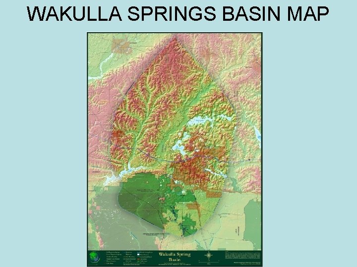 WAKULLA SPRINGS BASIN MAP 