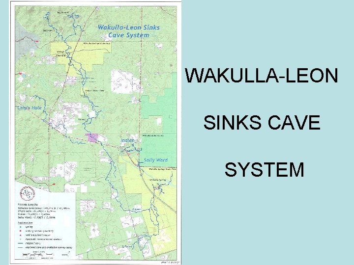 WAKULLA-LEON SINKS CAVE SYSTEM 