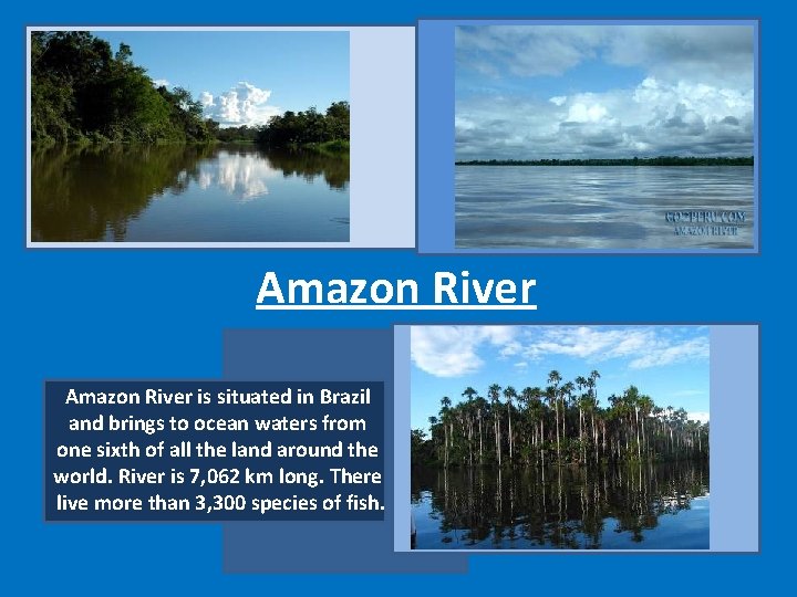 Amazon River is situated in Brazil and brings to ocean waters from one sixth