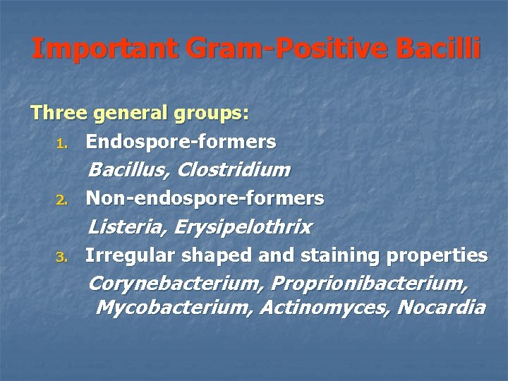 Important Gram-Positive Bacilli Three general groups: 1. Endospore-formers Bacillus, Clostridium 2. Non-endospore-formers Listeria, Erysipelothrix