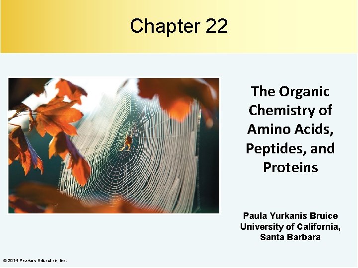 Chapter 22 The Organic Chemistry of Amino Acids, Peptides, and Proteins Paula Yurkanis Bruice