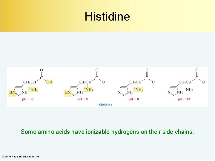 Histidine Some amino acids have ionizable hydrogens on their side chains. © 2014 Pearson