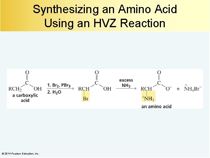 Synthesizing an Amino Acid Using an HVZ Reaction © 2014 Pearson Education, Inc. 