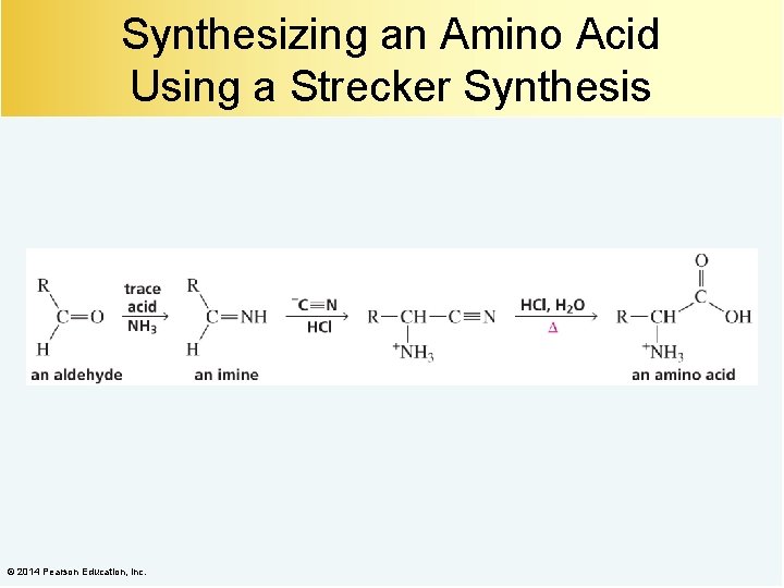 Synthesizing an Amino Acid Using a Strecker Synthesis © 2014 Pearson Education, Inc. 