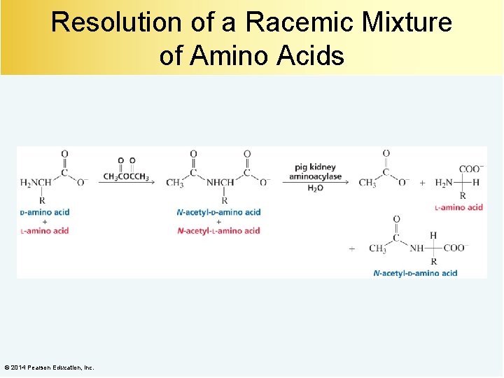 Resolution of a Racemic Mixture of Amino Acids © 2014 Pearson Education, Inc. 