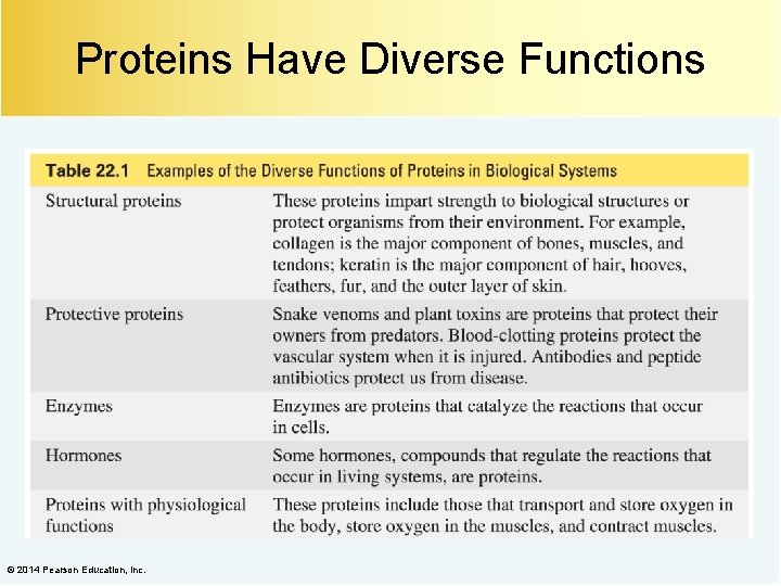 Proteins Have Diverse Functions © 2014 Pearson Education, Inc. 