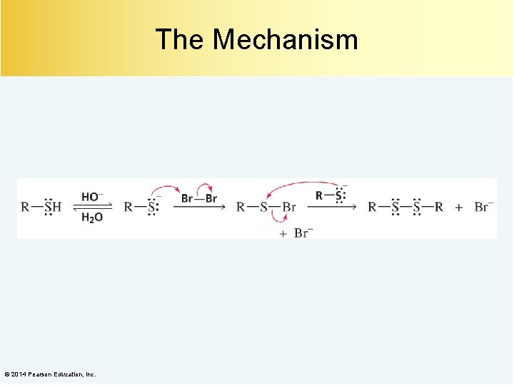 The Mechanism © 2014 Pearson Education, Inc. 