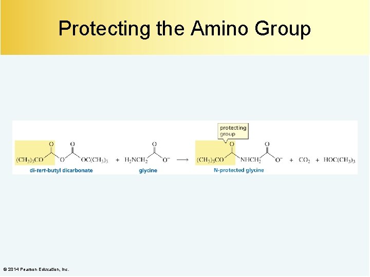 Protecting the Amino Group © 2014 Pearson Education, Inc. 