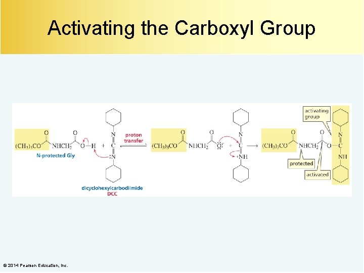 Activating the Carboxyl Group © 2014 Pearson Education, Inc. 