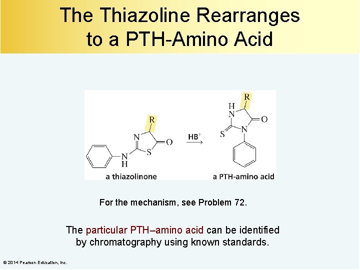 The Thiazoline Rearranges to a PTH-Amino Acid For the mechanism, see Problem 72. The