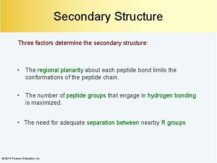 Secondary Structure Three factors determine the secondary structure: • The regional planarity about each