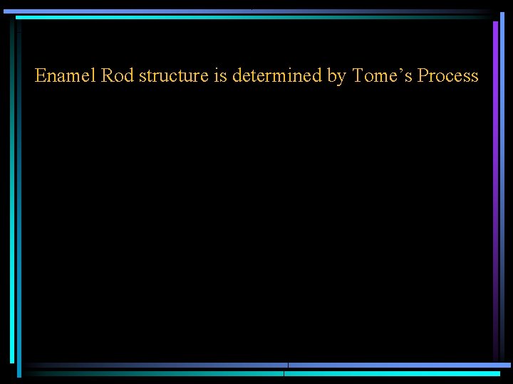 Enamel Rod structure is determined by Tome’s Process 